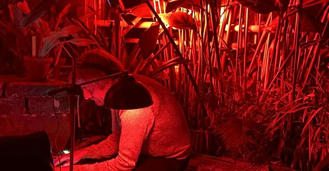 Le Burn Out Club - Liège - Collective SOnore Expérimentale